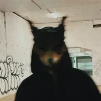 收听 undefined、观看音乐视频、阅读小传、查看巡演日期等 ！