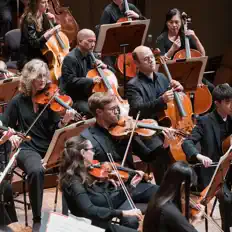 San Francisco Symphonyを聴いたり、ミュージックビデオを鑑賞したり、経歴やツアー日程などを確認したりしましょう！