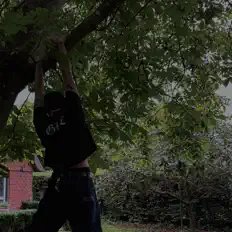 Escucha a lauenburg, mira videos musicales, lee su biografía, consulta las fechas de las gira y más.