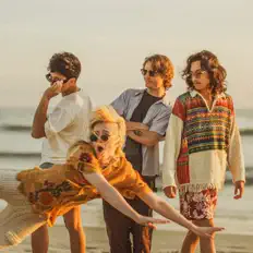 Écoutez The Foam, regardez des vidéoclips, lisez la biographie, consultez les dates de tournée et plus encore !