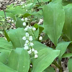 聆聽 Ray Fisher、觀看音樂影片、閱讀小傳、查看巡演日期等！