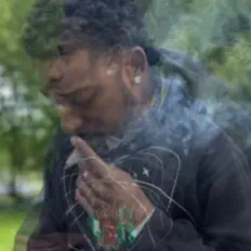 Stumpeeを聴いたり、ミュージックビデオを鑑賞したり、経歴やツアー日程などを確認したりしましょう！