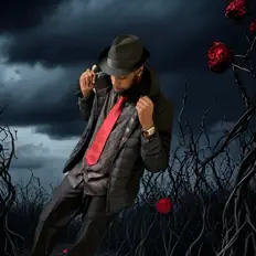 SlimDropsGemsを聴いたり、ミュージックビデオを鑑賞したり、経歴やツアー日程などを確認したりしましょう！