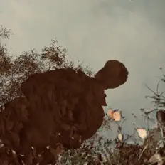 Posłuchaj wykonawcy ErikAndreu, obejrzyj teledyski, przeczytaj biografię, zobacz daty tras koncertowych i nie tylko!