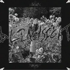 Dengarkan blindsight, tonton video musik, baca bio, lihat tanggal tur & lainnya!