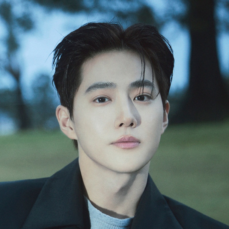 Song - Who Are You - SUHO