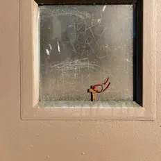 Posłuchaj wykonawcy Junior Mesa, obejrzyj teledyski, przeczytaj biografię, zobacz daty tras koncertowych i nie tylko!