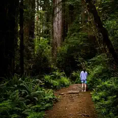 Écoutez whoispoob, regardez des vidéoclips, lisez la biographie, consultez les dates de tournée et plus encore !