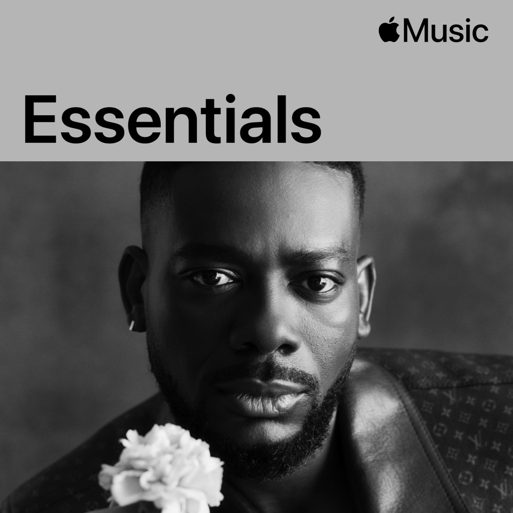 Adekunle Gold Essentials