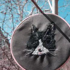 Catnip Cartelを聴いたり、ミュージックビデオを鑑賞したり、経歴やツアー日程などを確認したりしましょう！