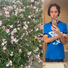 聆聽 Vaylantine、觀看音樂影片、閱讀小傳、查看巡演日期等！