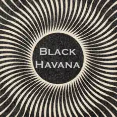 Listen to Black Havana, watch music videos, read bio, see tour dates & more!