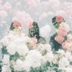 Escucha a roi bob, mira videos musicales, lee su biografía, consulta las fechas de las gira y más.