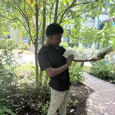 Écoutez LluhRell, regardez des vidéoclips, lisez la biographie, consultez les dates de tournée et plus encore !