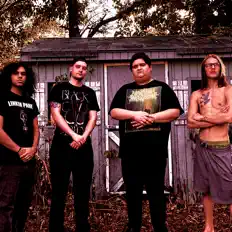 Poslechněte si interpreta Leaves Of Eden, sledujte hudební videa, přečtěte si životopis, podívejte se na data turné a další informace.