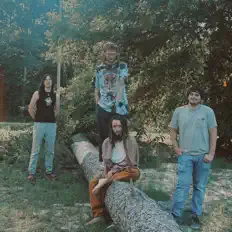 Vann Dr. सुनें, म्यूज़िक वीडियो देखें, बायो पढ़ें, दौरे की तारीखें और बहुत कुछ देखें!