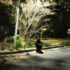 Listen to Local Loner, watch music videos, read bio, see tour dates & more!