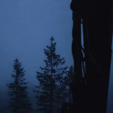 Ακούστε περιεχόμενο από Nitewalk, παρακολουθήστε μουσικά βίντεο, διαβάστε το βιογραφικό, δείτε ημερομηνίες περιοδείας, και πολλά ακόμη!