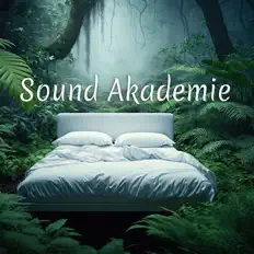 收听 Sound Akademie、观看音乐视频、阅读小传、查看巡演日期等 ！