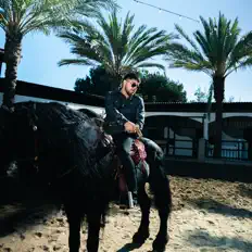 Los Gemelos De Sinaloaを聴いたり、ミュージックビデオを鑑賞したり、経歴やツアー日程などを確認したりしましょう！