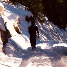 Dengarkan Leo Broggi, tonton video musik, baca bio, lihat tanggal tur & lainnya!