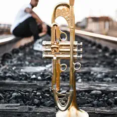 Listen to Brass-A-Holics, watch music videos, read bio, see tour dates & more!
