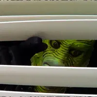 Listen to undefined, watch music videos, read bio, see tour dates & more!