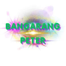Listen to Bangarang Peter, watch music videos, read bio, see tour dates & more!