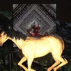 Ascolta DJ Bingus, guarda video musicali, leggi la biografia, vedi le date del tour & altro!