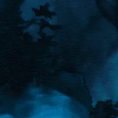 Escucha a stxrless, mira vídeos musicales, lee la biografía, consulta fechas de giras y mucho más.