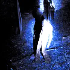 Listen to Nocturne's Kiss, watch music videos, read bio, see tour dates & more!