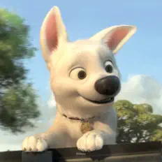 Escucha a Bolt, mira vídeos musicales, lee la biografía, consulta fechas de giras y mucho más.