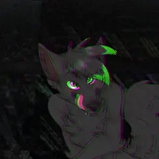 Foxxuneを聴いたり、ミュージックビデオを鑑賞したり、経歴やツアー日程などを確認したりしましょう！