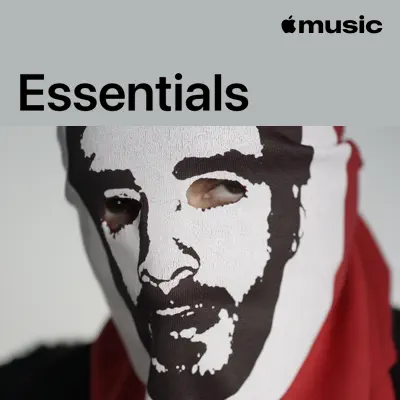 Listen to Husky Essentials featuring Husky