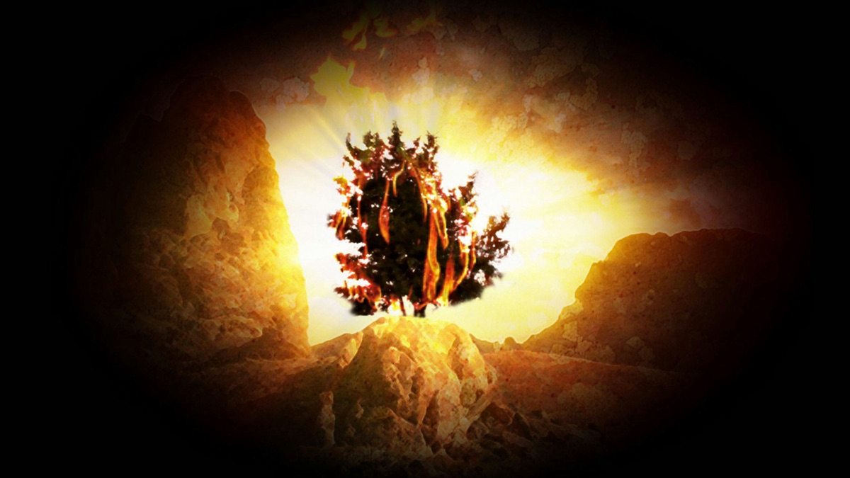 The Moses Code - Apple TV