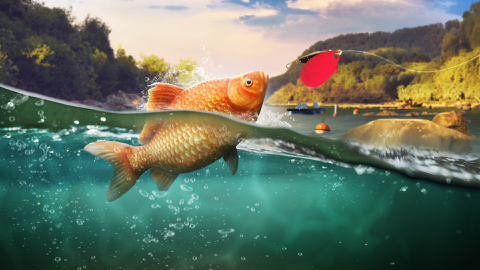 Read more about Explore the Potomac River!
