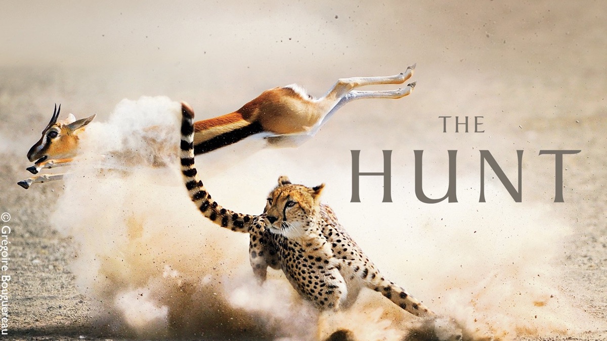 ‎The Hunt - Apple TV