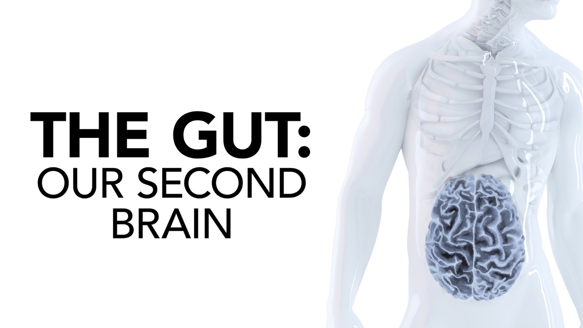 The Gut Our Second Brain Trailer