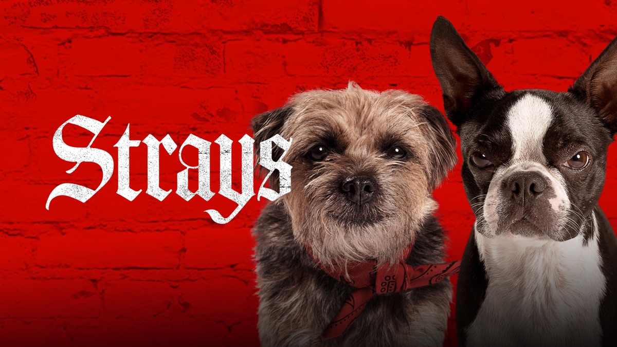 ‎Strays - Apple TV