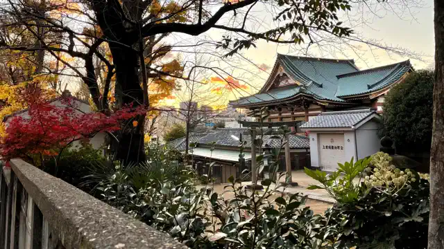 Autumn Kanji Drill