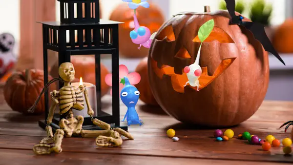 A Colorful Halloween Awaits