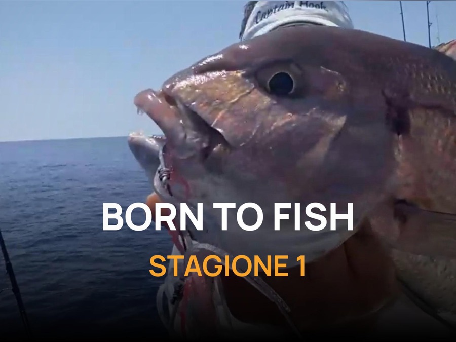Born to Fish - Apple TV (IT)