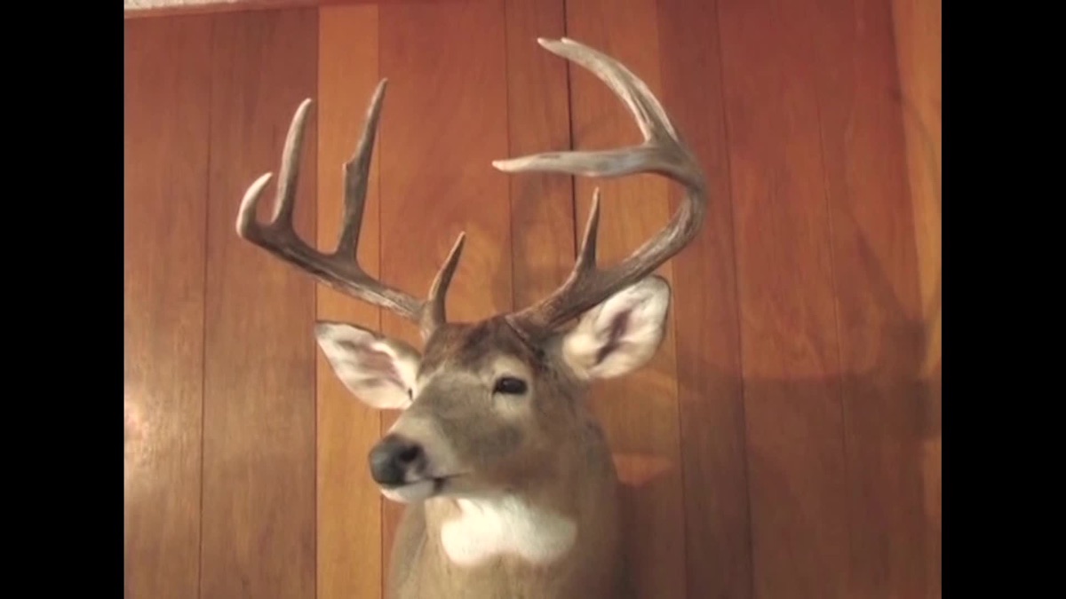 Yukon Hunt with Gregg Ritz: JSHA – Jim Shockey's Hunting Adventures ...