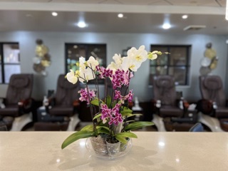 El Bella Salon & Day Spa