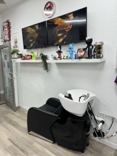 Muse Galeria