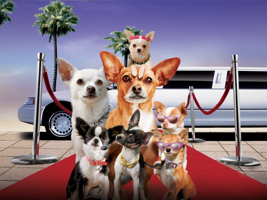 Beverly Hills Chihuahua 2 Puppies