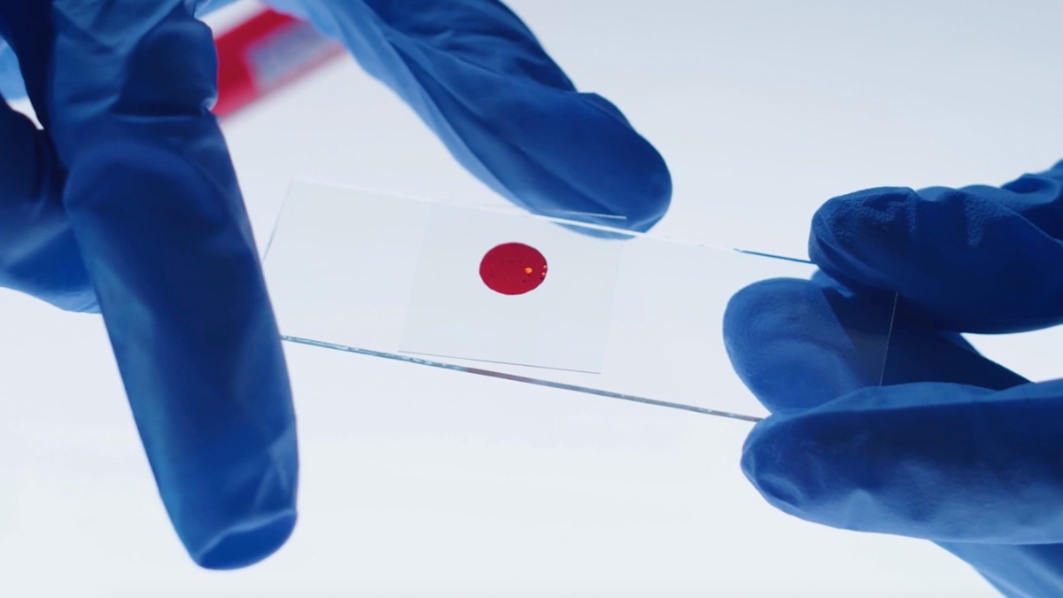 Blood Pattern Analysis - CSI on Trial (Series 1, Episode 1) - Apple TV (UK)