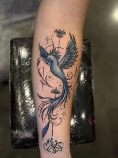Exotic Inks tattoo studio in Fordham