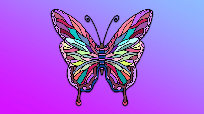 Magnificent Butterfly Coloring Competition