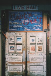 Catalina Bayou